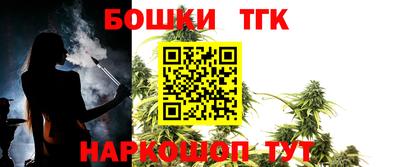 индика Ирбит