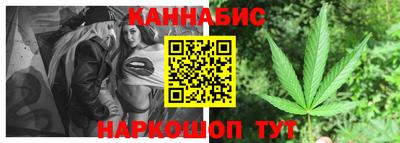 индика Ирбит